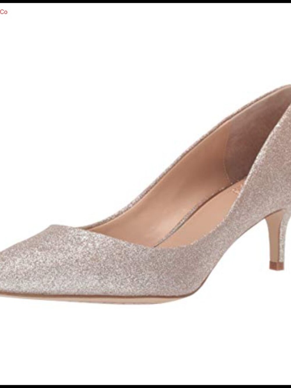 Badgley Mischka Royalty Kitten Heel Pointed Toe Pump Formal Slip-On